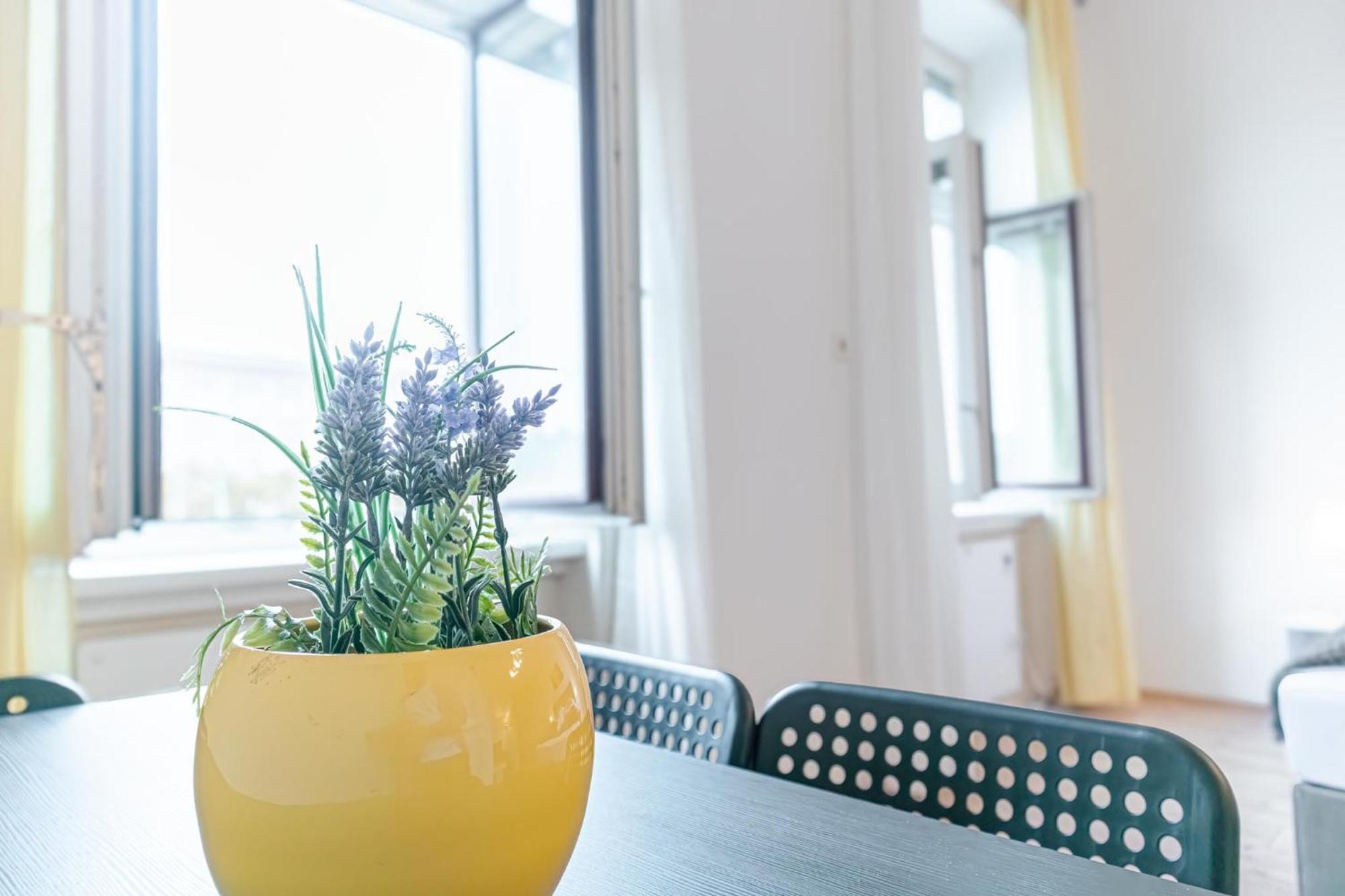 Attractive 2br Near Akh Ideal For Longstays Vienna